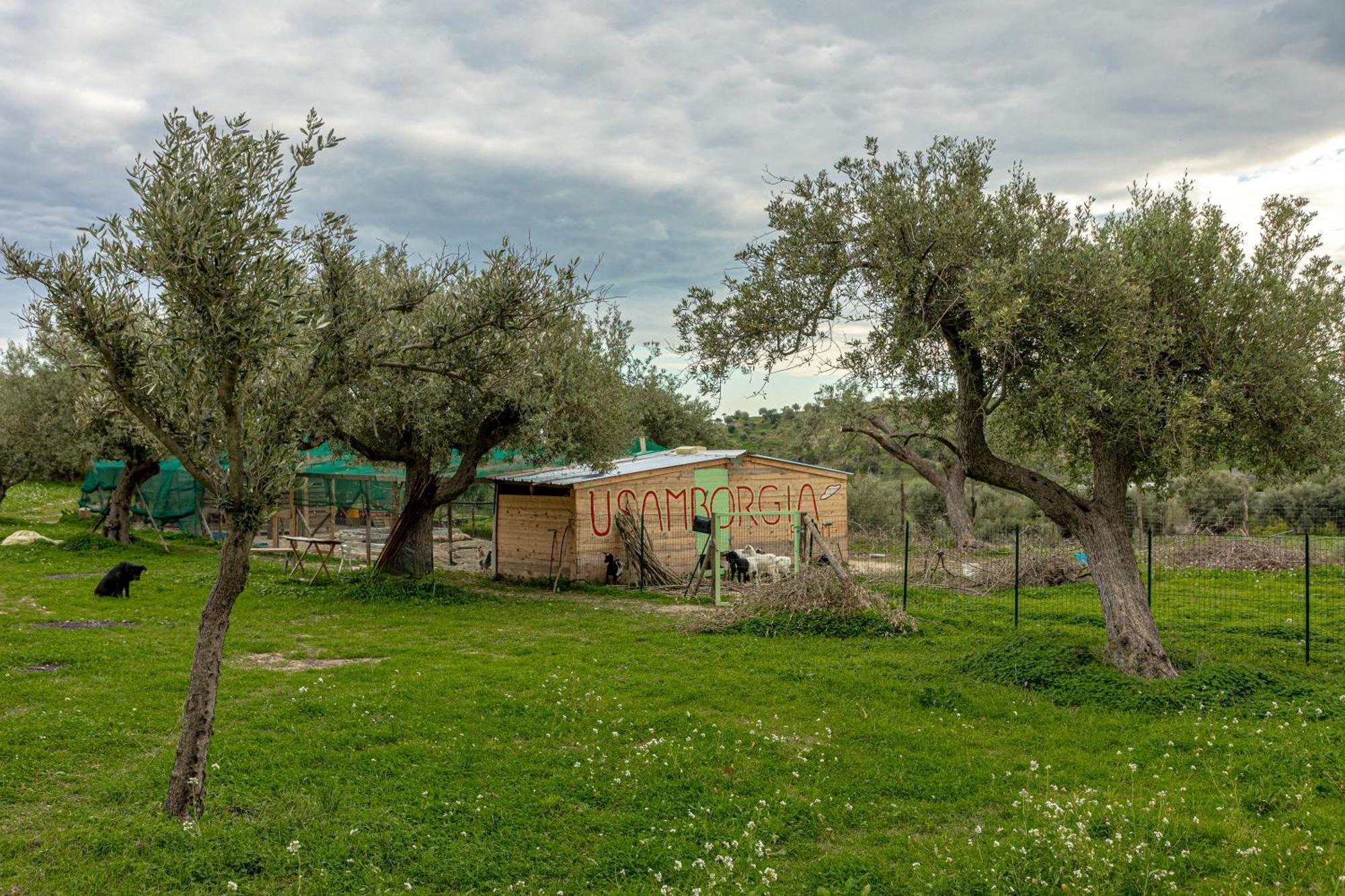 Masseria Usamborgia Noto Ngoại thất bức ảnh